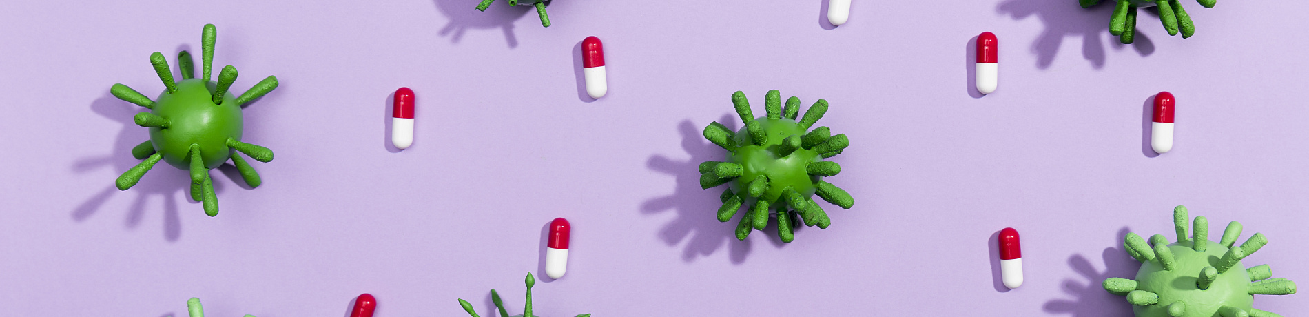 Фото новости